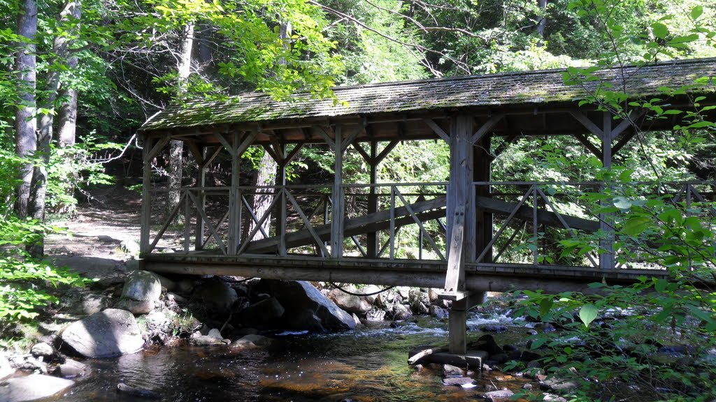 bridge at willard brook state park