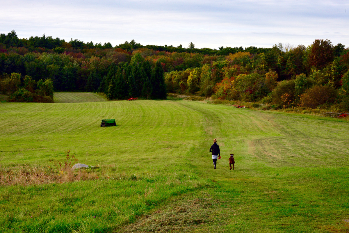 Boxborough, Massachusetts