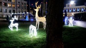 The Lowell City of Lights Parade & Other Upcoming Winter Events