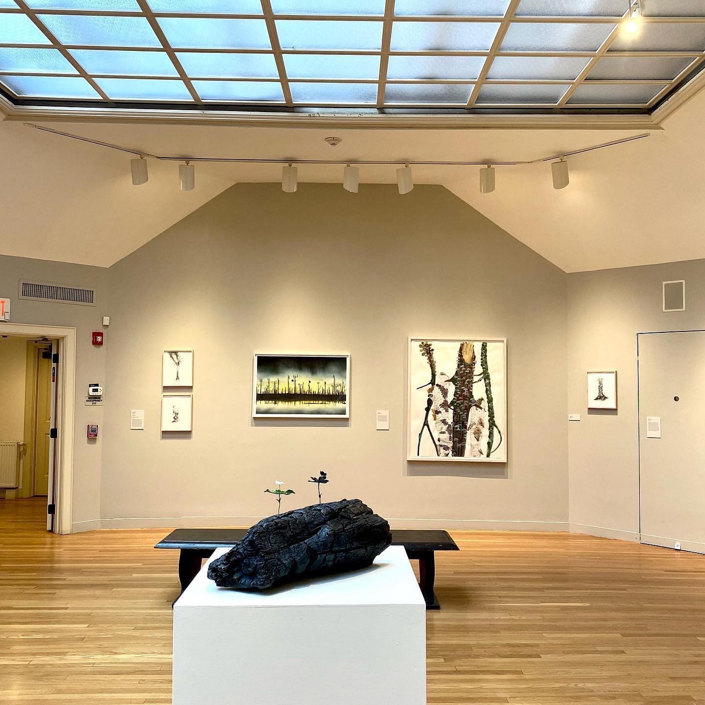 Concord Art Interior Photo of one of their galleries