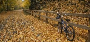 photo of the nashua river rail trail covered in yellow fall leaves