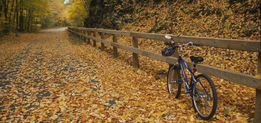 Bike and Horse Trails: Take a Ride in the Greater Merrimack Valley