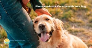 Plan a Merrimack Vacation with Your Dog