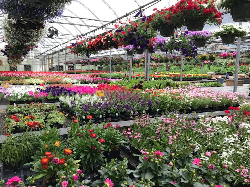 Sykes the Florist and Greenhouses