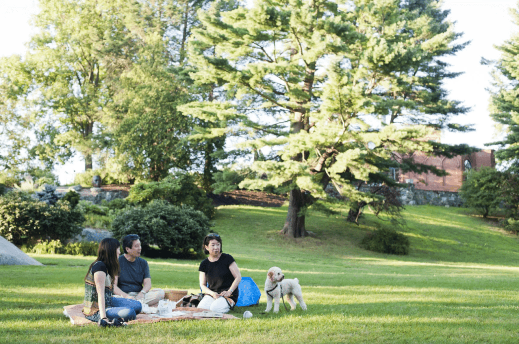 deCordova Sculpture Park & Museum