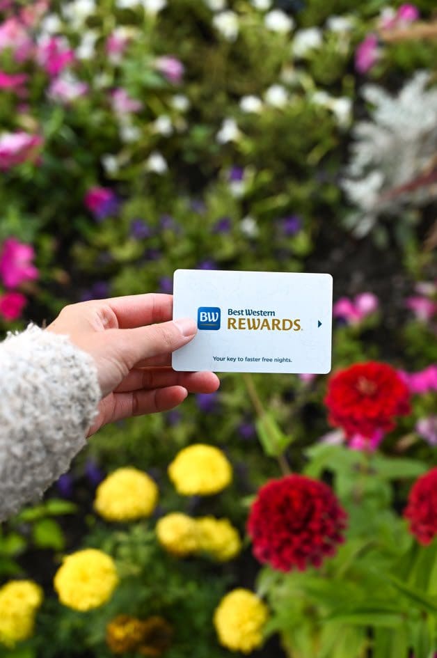 Best Western Plus New Englander