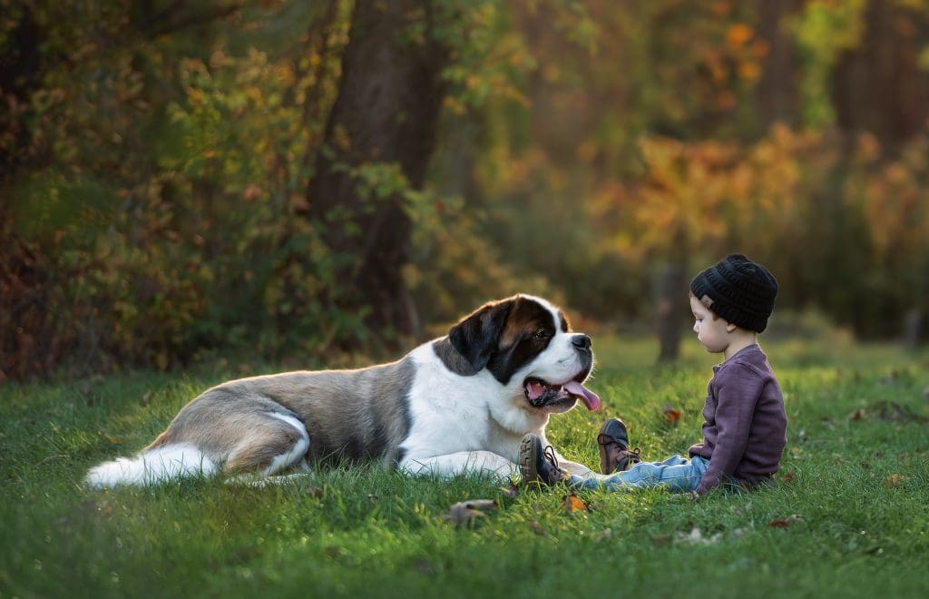 Luciana Calvin Photography