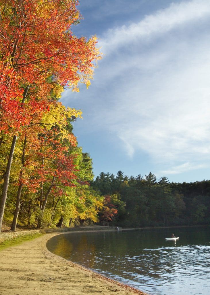 Walden Pond State Reservation