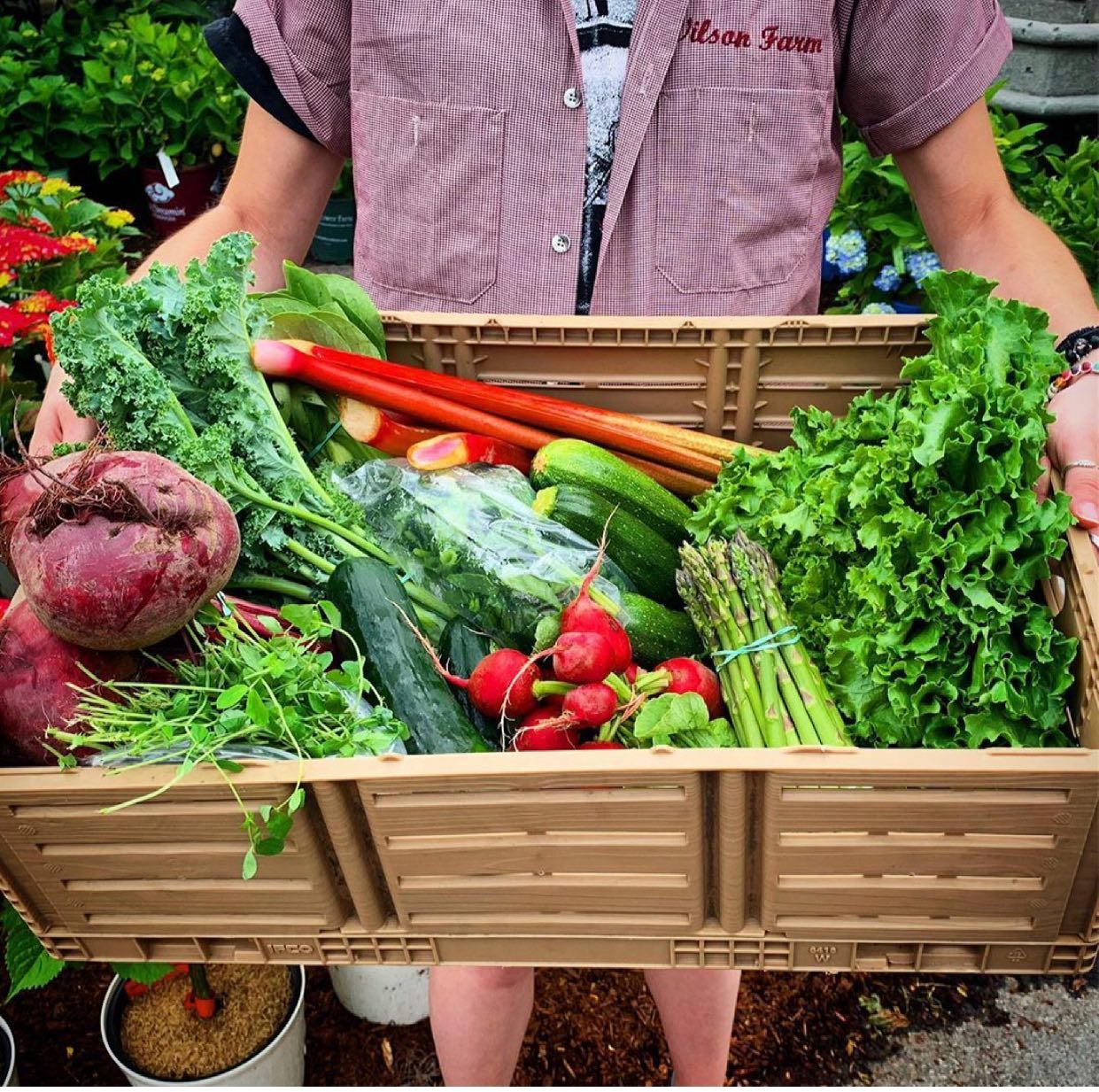 Experience Farm Fun in Merrimack Valley