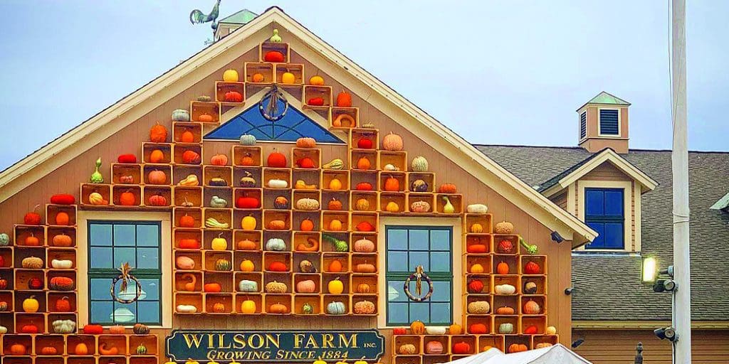 Wilson Farm