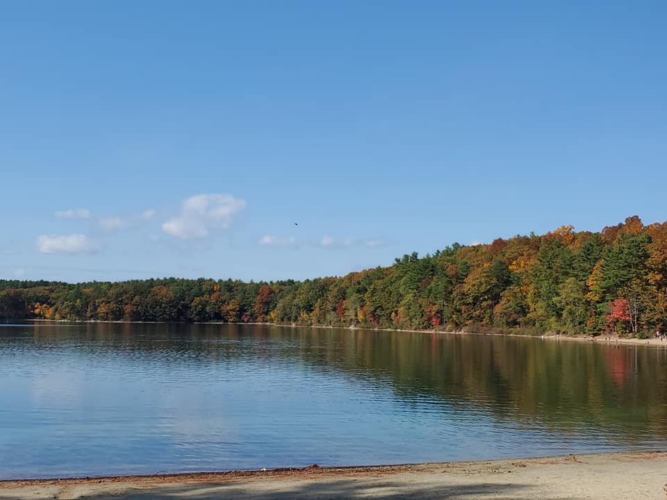 The Thoreau Society Shop at Walden Pond
