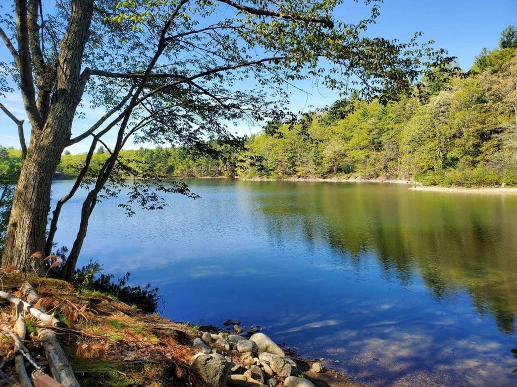 The Thoreau Society Shop at Walden Pond