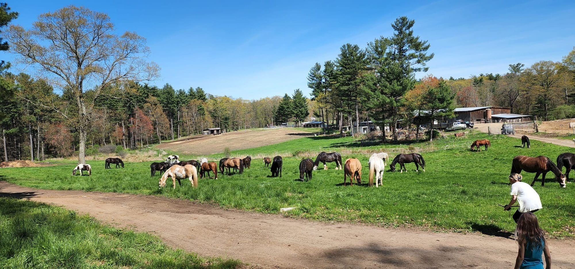 Spend a Fun-Filled Spring Season in Westford, MA
