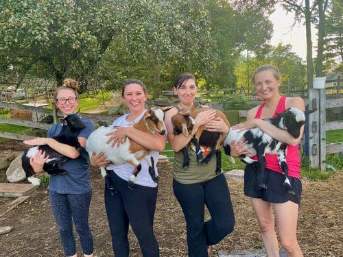 Goat Yoga at Good Pickin’ Farm