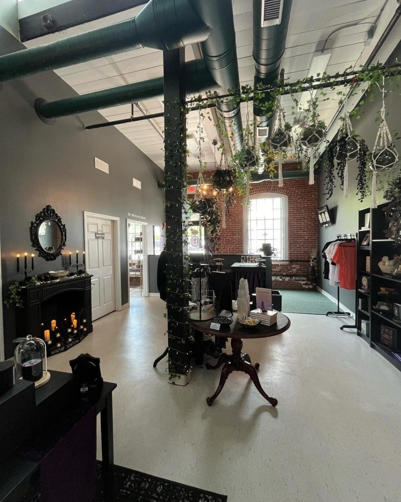 Moonlight & Mindfulness