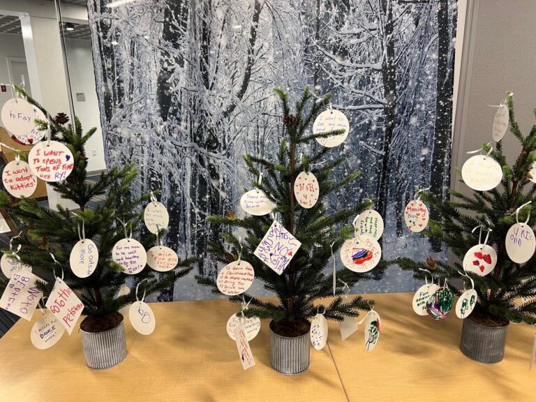 December Vacation Week at Discovery Museum at Discovery Museum